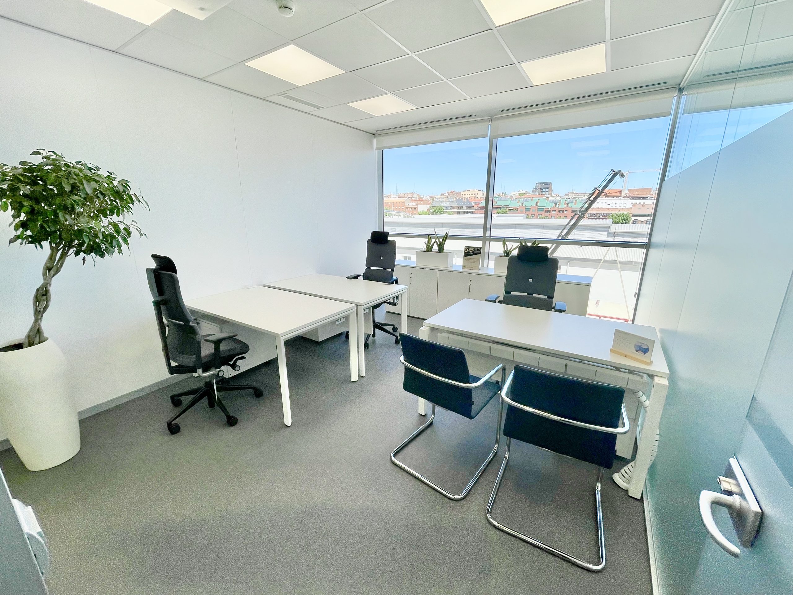 Inviting professional office with collaborative seating, individual workstations and a dedicated meeting area