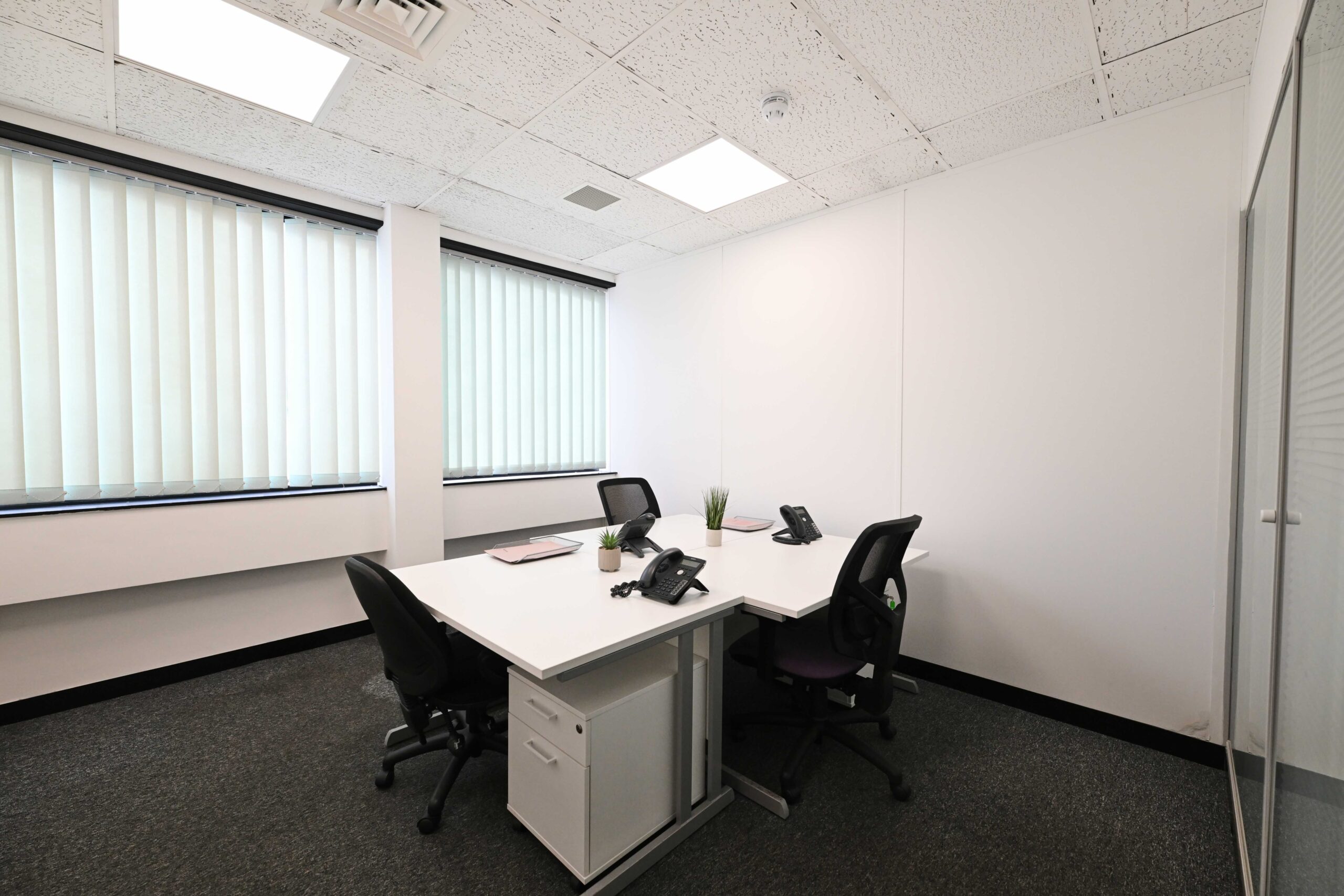Contemporary team office with organized desks, meeting space and efficient workspace circulation